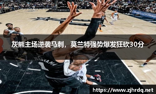 mk体育