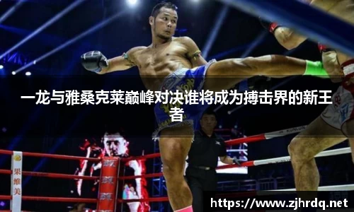 一龙与雅桑克莱巅峰对决谁将成为搏击界的新王者