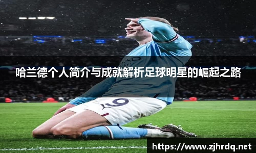 mk体育官网入口